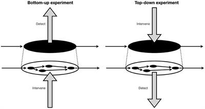 Defending the use of the mutual manipulability criterion in the extended cognition debate